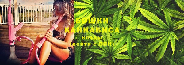 марки lsd Новозыбков
