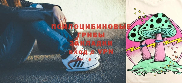 соль ск Новокубанск