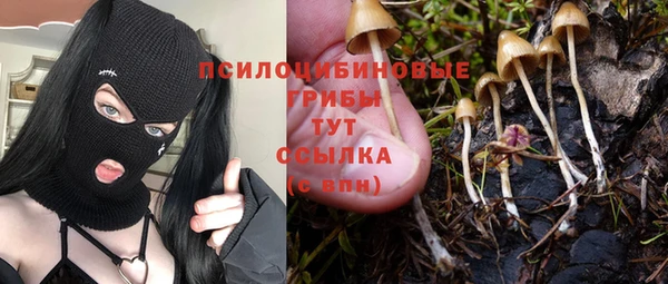 соль ск Новокубанск