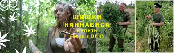 трава Нефтекумск