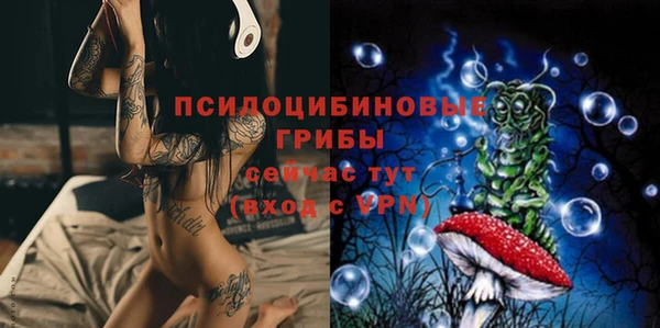 марки lsd Новозыбков