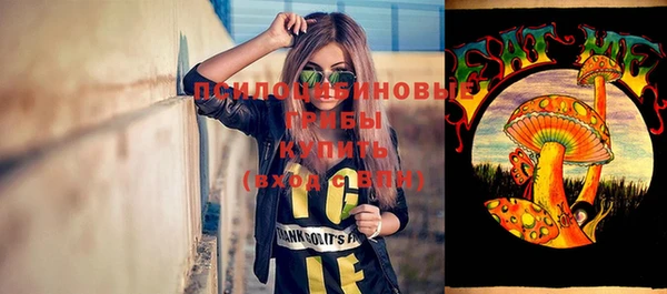 соль ск Новокубанск