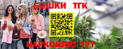 индика Гусиноозёрск