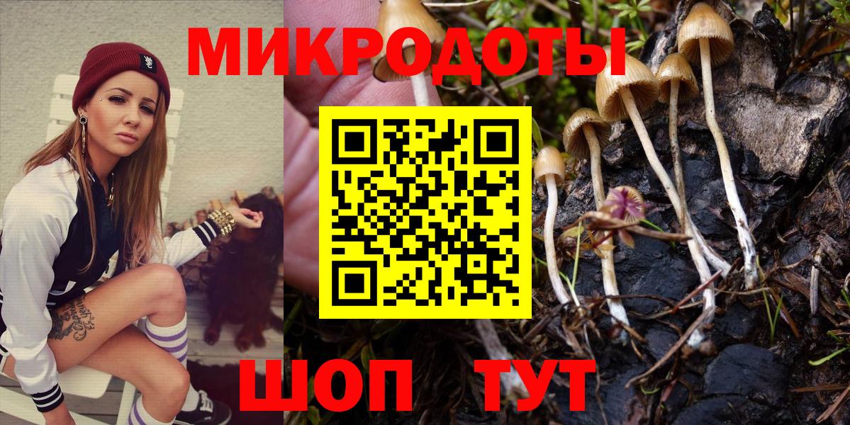 Улан-Удэ  Галлюциногенные грибы Psilocybine cubensis  Вход с VPN  Псилоцибиновые грибы мухоморы 